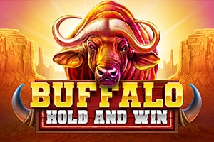 Buffalo Hold And Win at Rivo casino